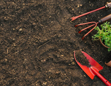 blog_featured_1 blog_featured_1